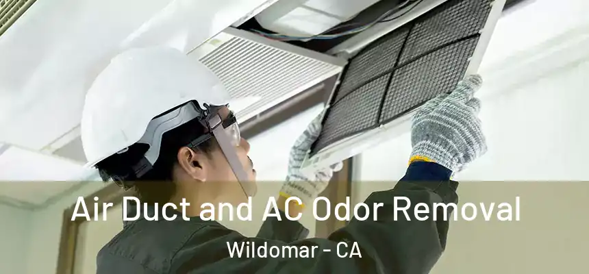 Air Duct and AC Odor Removal Wildomar - CA