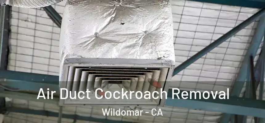  Air Duct Cockroach Removal Wildomar - CA