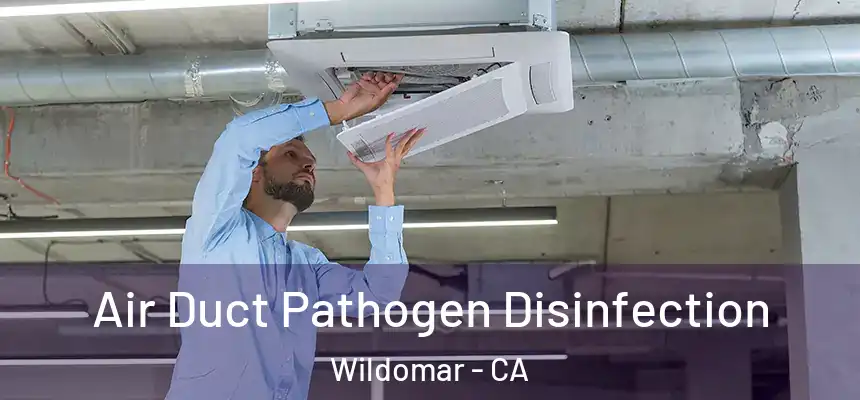  Air Duct Pathogen Disinfection Wildomar - CA