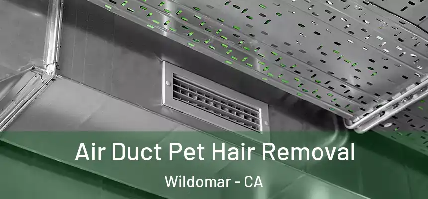  Air Duct Pet Hair Removal Wildomar - CA