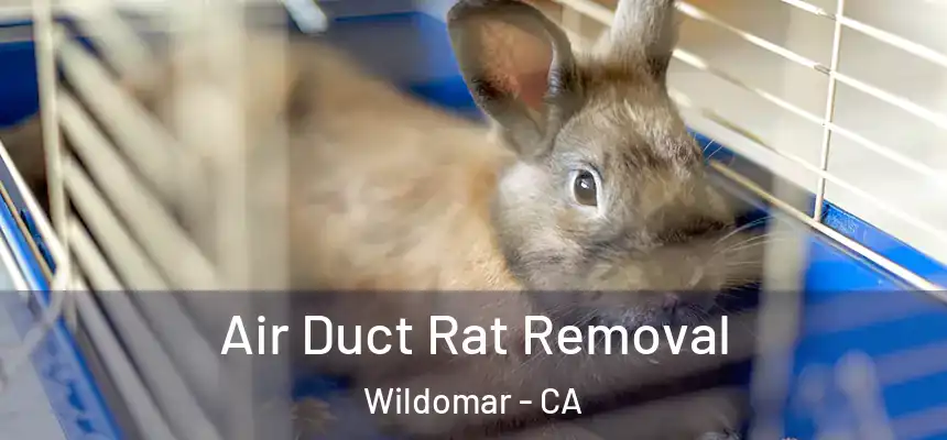  Air Duct Rat Removal Wildomar - CA