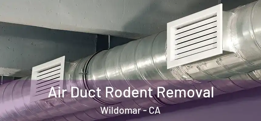  Air Duct Rodent Removal Wildomar - CA