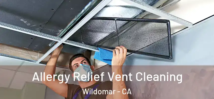  Allergy Relief Vent Cleaning Wildomar - CA