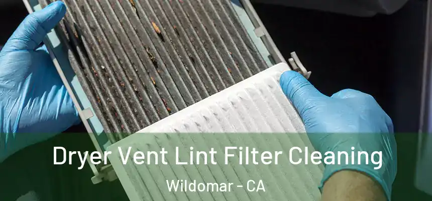  Dryer Vent Lint Filter Cleaning Wildomar - CA