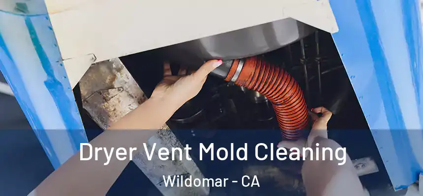  Dryer Vent Mold Cleaning Wildomar - CA