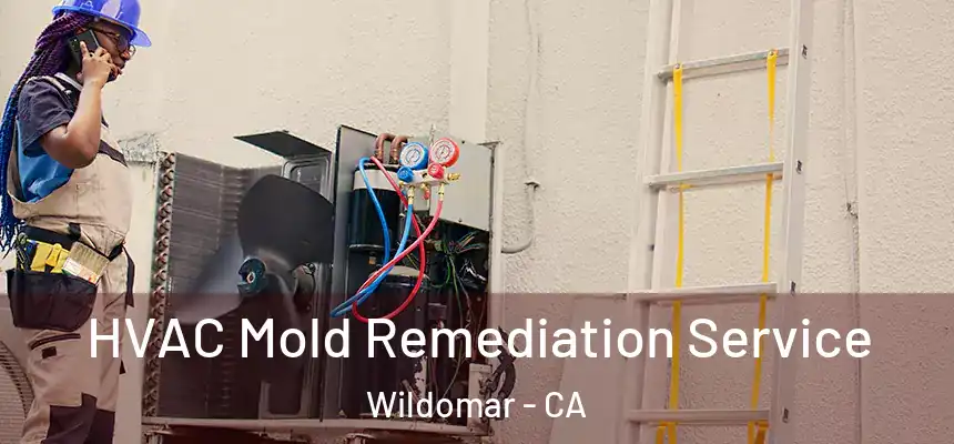  HVAC Mold Remediation Service Wildomar - CA
