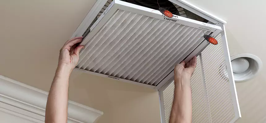 Preventive Cockroach-Proofing for Ducts in Wildomar