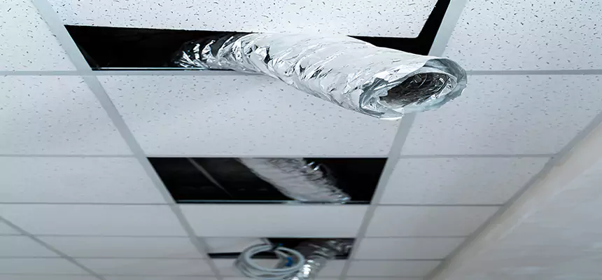 Our Air Duct Pet Hair Removal Services in Wildomar, CA