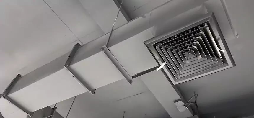 Our Pest Removal From Ducts Services in Wildomar, CA