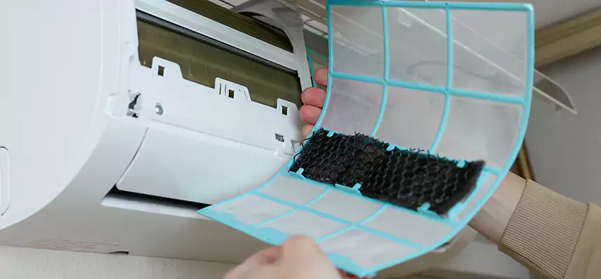 Gentle Ductwork Odor-Control Pet Dander Duct Cleaning in Wildomar, CA