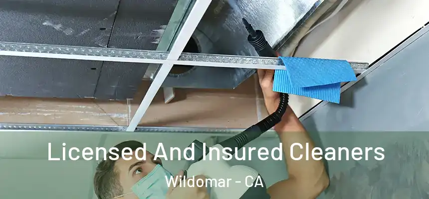  Licensed And Insured Cleaners Wildomar - CA