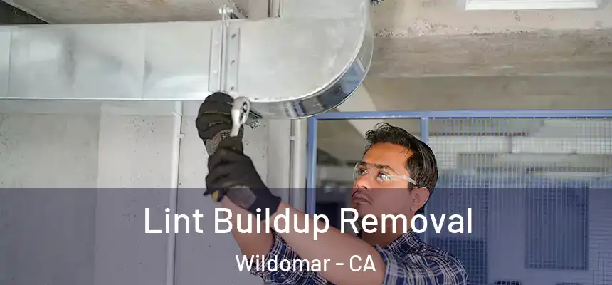  Lint Buildup Removal Wildomar - CA