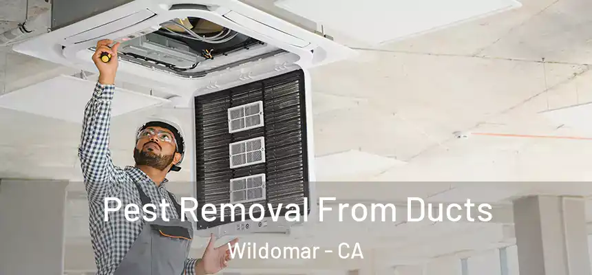  Pest Removal From Ducts Wildomar - CA