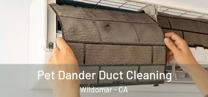  Pet Dander Duct Cleaning Wildomar - CA