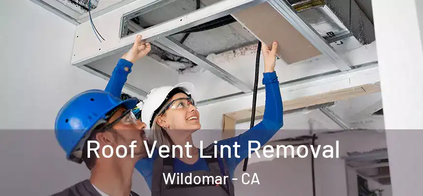  Roof Vent Lint Removal Wildomar - CA