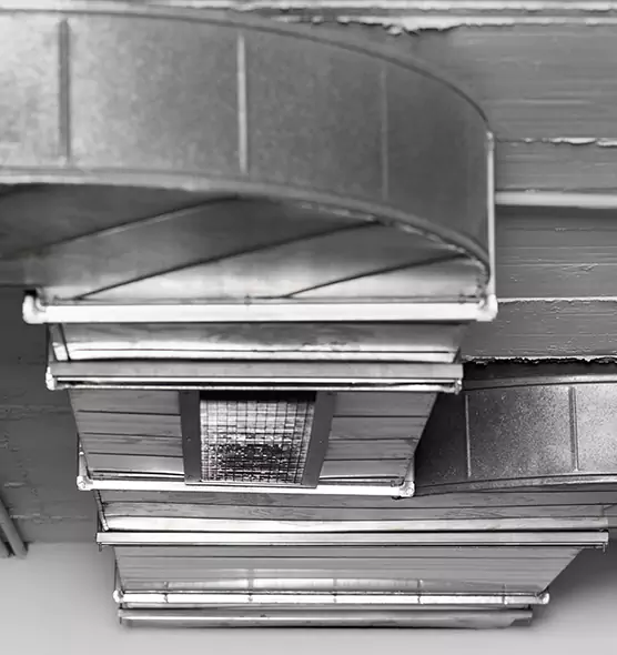 Professional Air Duct Pest Removal in Wildomar, CA