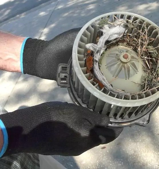 About Air Duct Rat Removal in Wildomar, CA